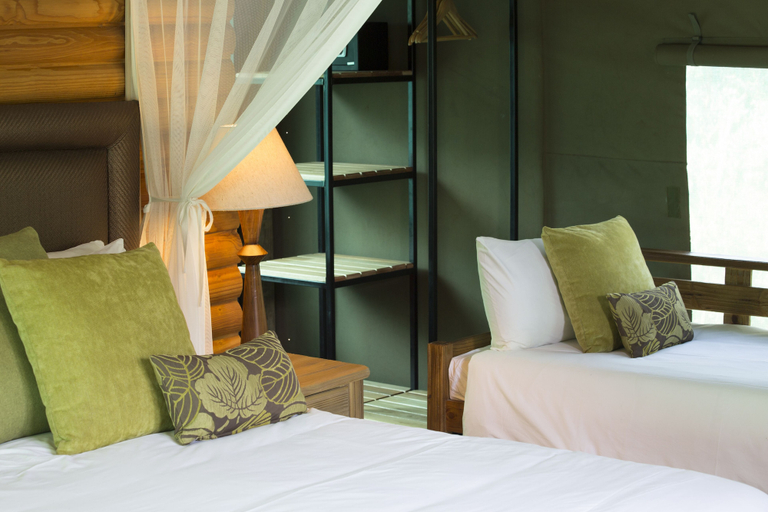 Bedroom 3, Honeyguide Ranger Camp, Waterberg