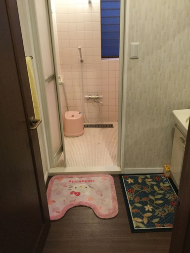 Bathroom 5, Funabori Hasui, Edogawa