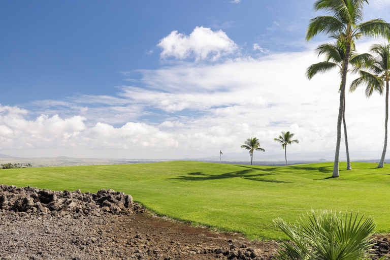 Others 1, Luxury Living with Pool Access, Hawaii