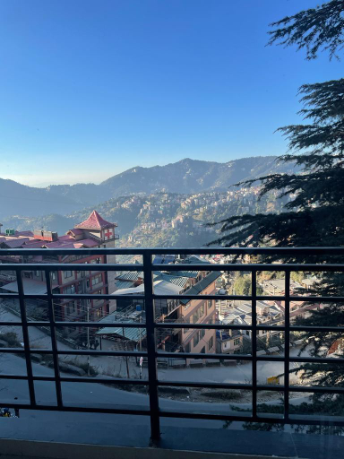 Others 3, The Ivory Pine, Shimla