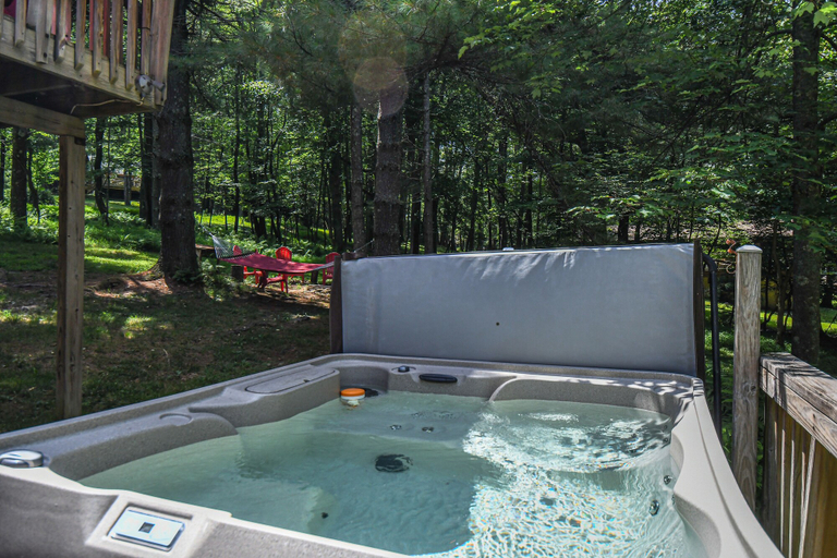Sport & Beauty 5, Piney Bear Cabin, Garrett