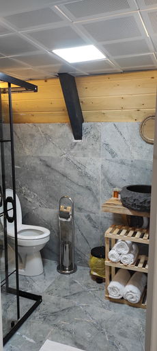 Bathroom 2, Luxon Bungalow, Ardeşen