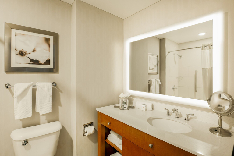 Bathroom 4, DoubleTree by Hilton Atlanta Airport, Fulton