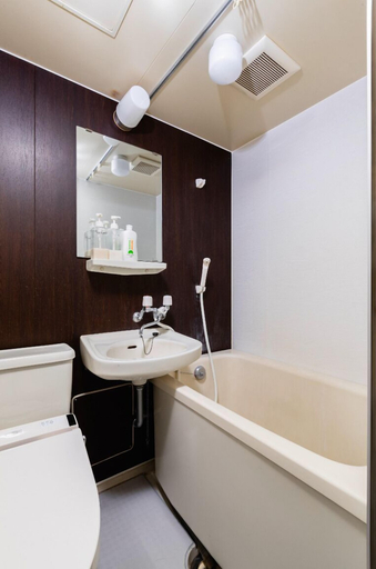 Bathroom 4, Imperial-Semba, Osaka