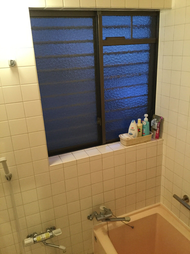 Bathroom 3, Funabori Hasui, Edogawa