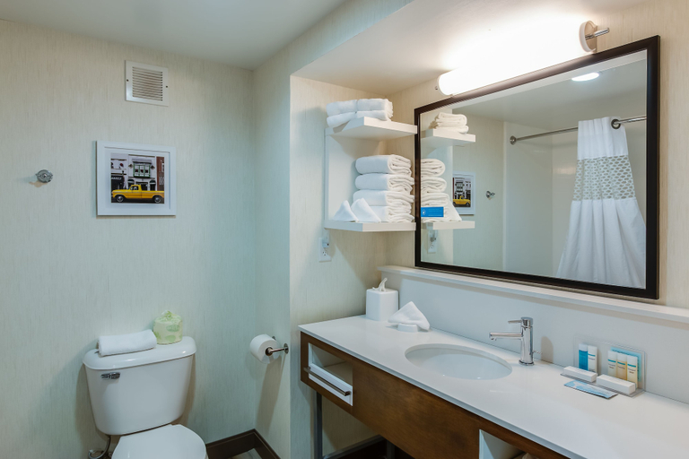 Bathroom 3, Hampton Inn Dickson, Dickson