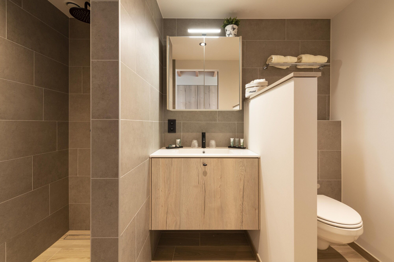Bathroom 4, B&B 't Motjeshof, West-Vlaanderen