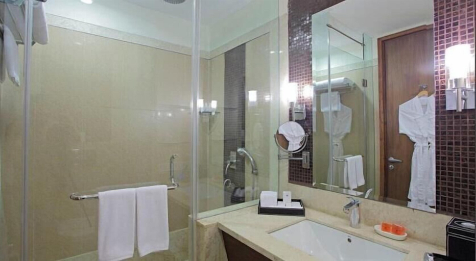 Bathroom 4, SK Premium Park, Delhi
