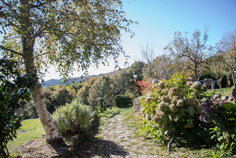 Others 4, Aldea Rural Santo Andre, Ourense