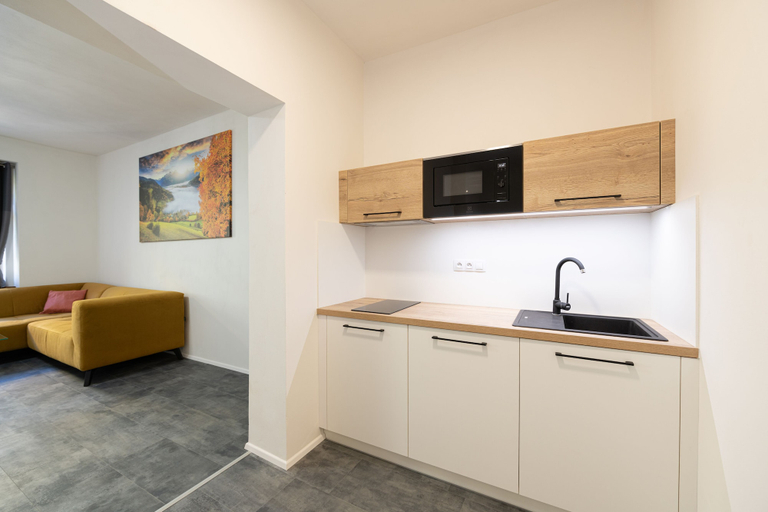 Others 5, Apartsee Wellness Plzeň, Plzeň