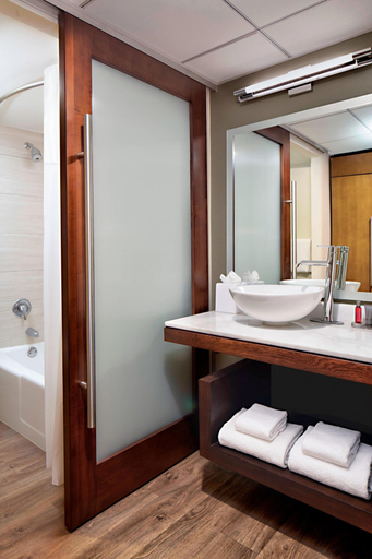 Bathroom 4, San Antonio Marriott Northwest Medical Center, Bexar