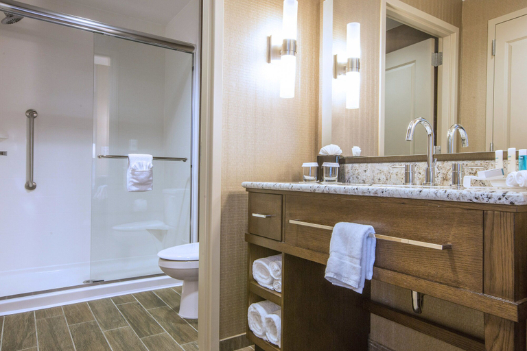 Bathroom 5, Hampton Inn Houston Downtown Convention Center, Houston