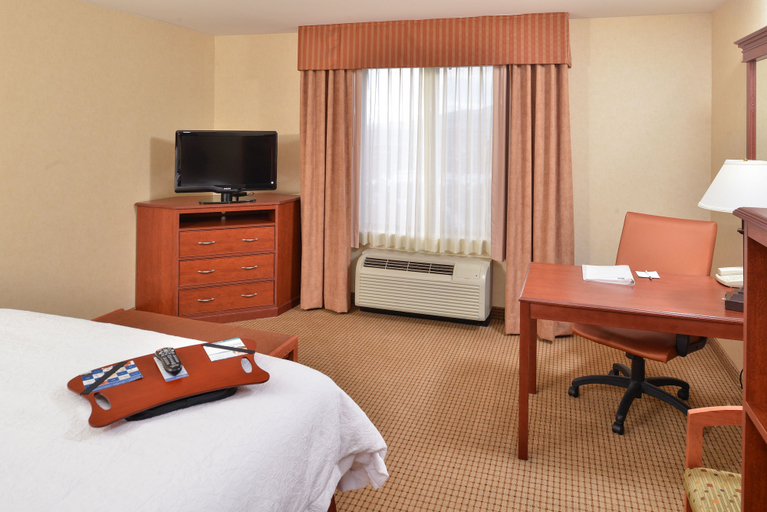 Bedroom 3, Hampton Inn Rock Springs, Sweetwater