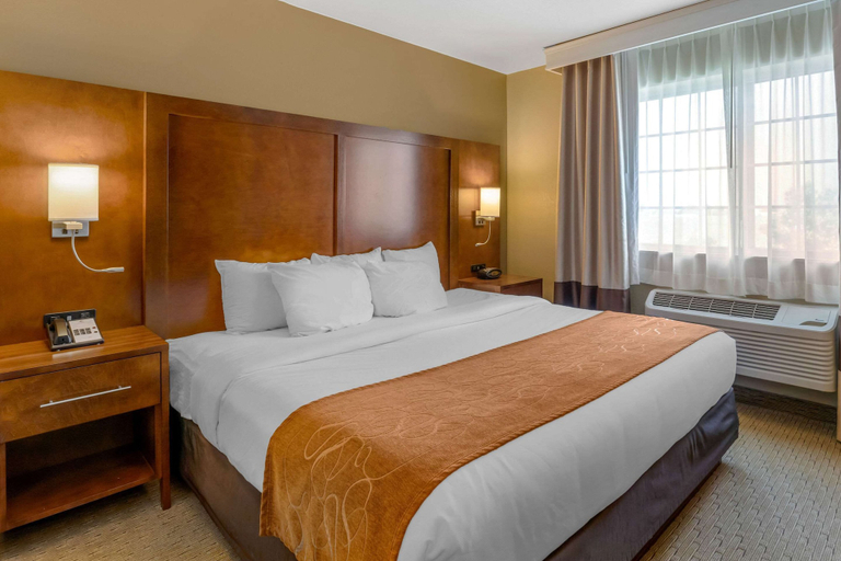 Bedroom 4, Comfort Suites Burlington, Des Moines