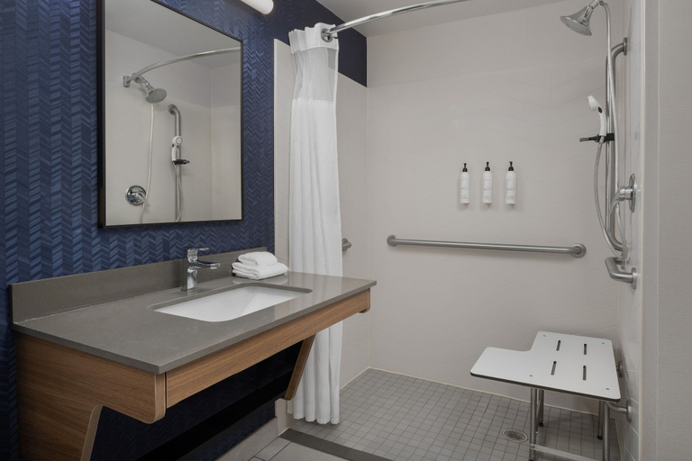 Bathroom 3, Fairfield Inn & Suites by Marriott Roanoke Hollins/I-81, Roanoke
