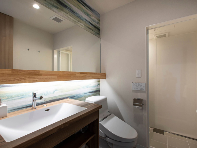 Bathroom 3, Aoyama Lodge, Kutchan
