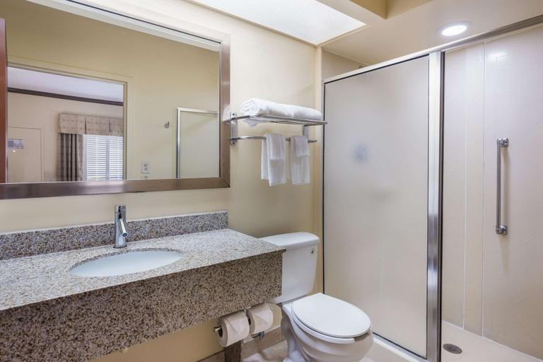 Bathroom 4, Quality Inn at Albany Mall, Dougherty