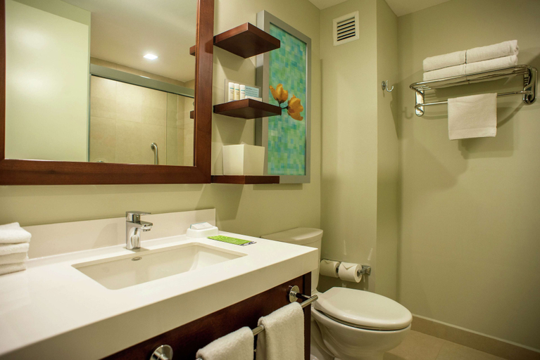 Bathroom 4, Hampton Inn by Hilton Merida, Mérida