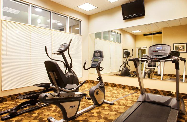 Others 4, Holiday Inn AURORA NORTH- NAPERVILLE by IHG, Kane