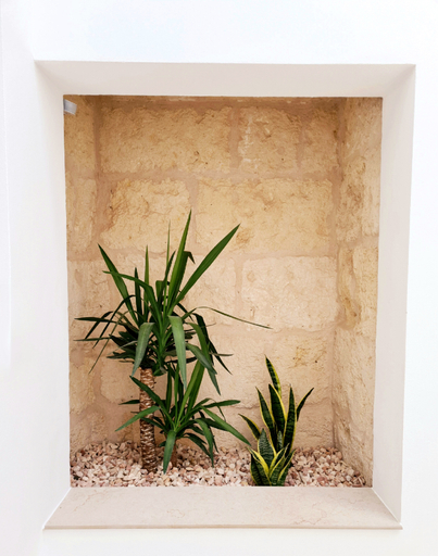 Others 5, Waki Conscious Hotel, Baleares