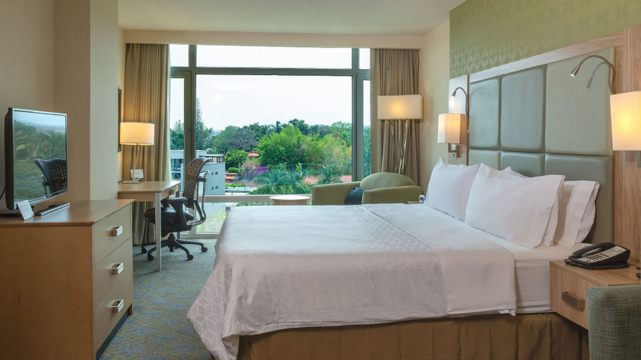 Bedroom 3, Holiday Inn Express & Suites CUERNAVACA by IHG, Cuernavaca