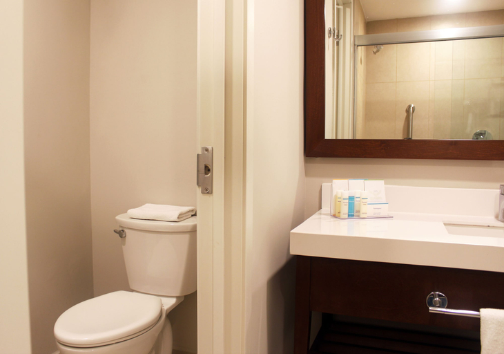 Bathroom 4, Hampton Inn by Hilton Merida, Mérida