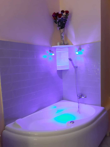 Bathroom 4, Modina Guest House, Rome