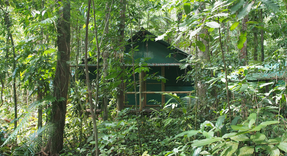 Exterior & Views 2, Daintree Crocodylus, Douglas