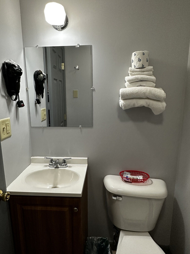 Bathroom, Relax Inn, Saginaw