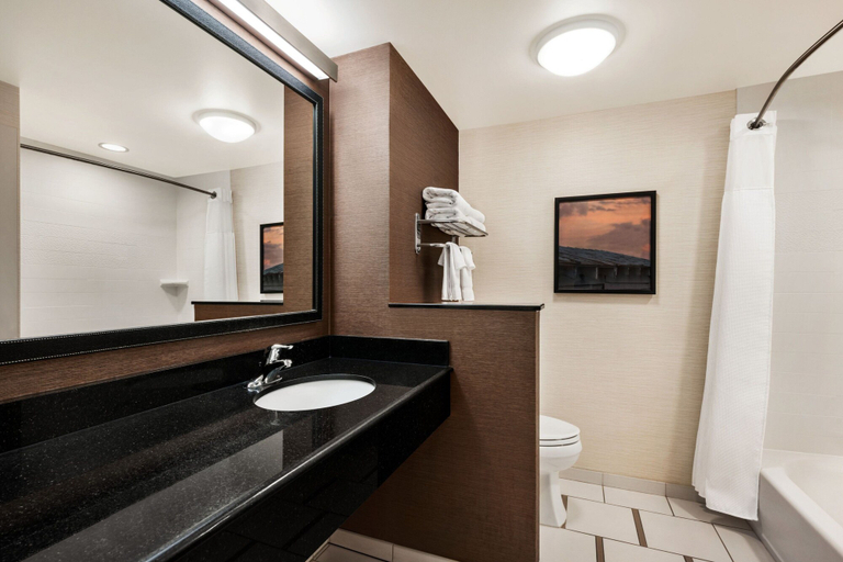 Bathroom 5, Fairfield Inn & Suites Hershey Chocolate Avenue, Dauphin