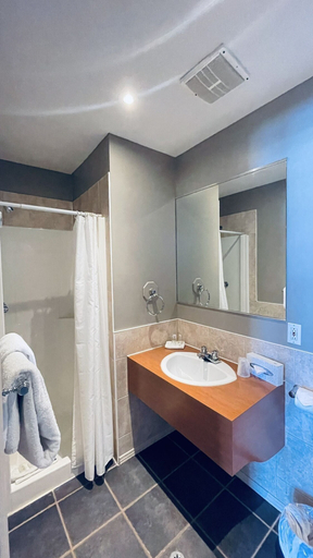 Bathroom 3, Falcon Motel Brossard, Champlain
