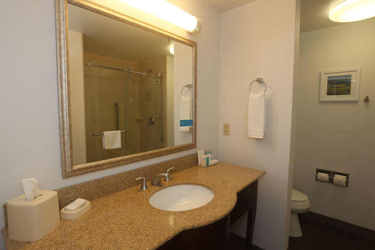 Bathroom 4, Hampton Inn Owego, Tioga