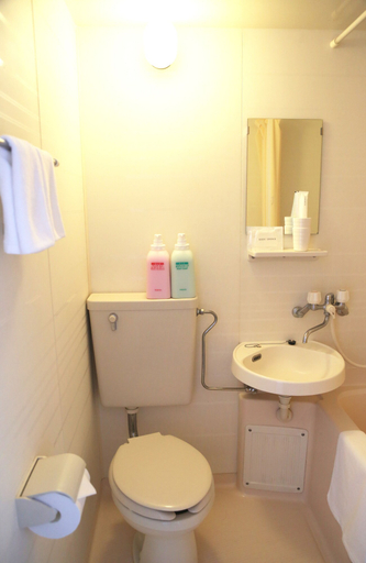 Bathroom 4, Asia Hotel Narita, Narita