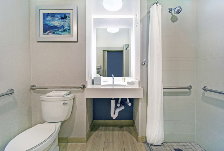 Bathroom 4, Homewood Suites by Hilton Seattle Downtown, Seattle