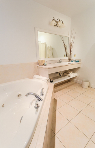 Bathroom 3, SELINSGROVE INN BED AND BREAKFAST, Snyder