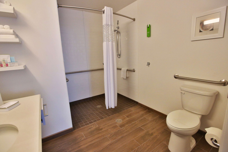 Bathroom 5, Hampton Inn Chicago Downtown/N Loop/Michigan Ave, Cook
