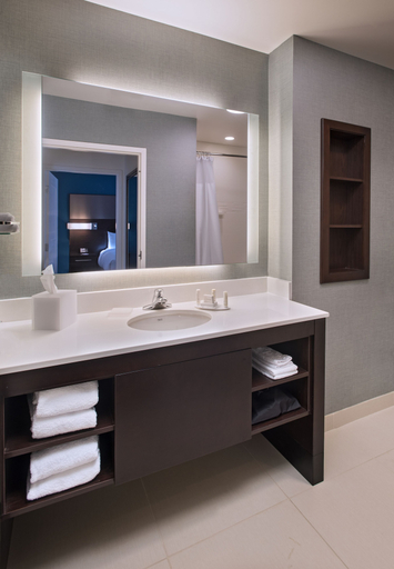 Bathroom 4, Residence Inn by Marriott Jackson The District at Eastover, Hinds