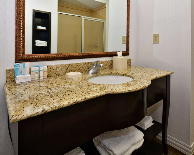 Bathroom 4, Hampton Inn & Suites Fredericksburg, Gillespie