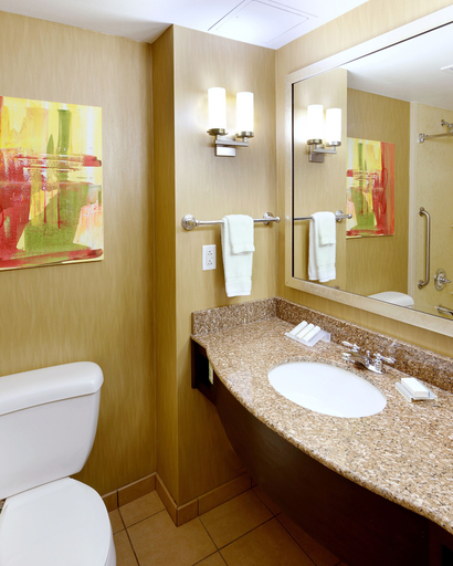 Bathroom 4, Hilton Garden Inn Springfield, MO, Greene