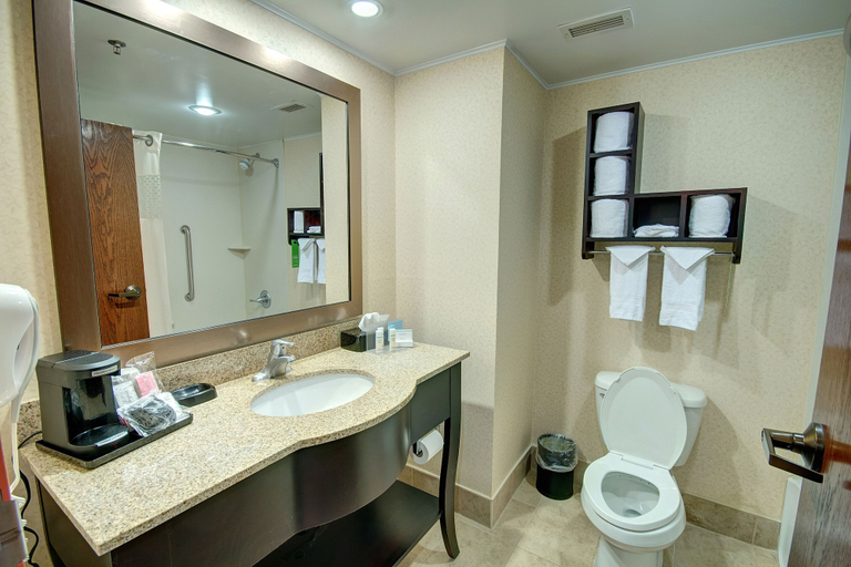 Bathroom 4, Hampton Inn Parkersburg-Mineral Wells, Wood