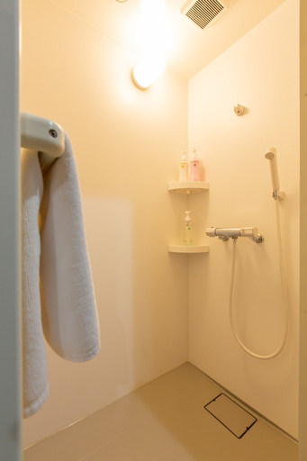 Bathroom 2, Ryugu, Osaka