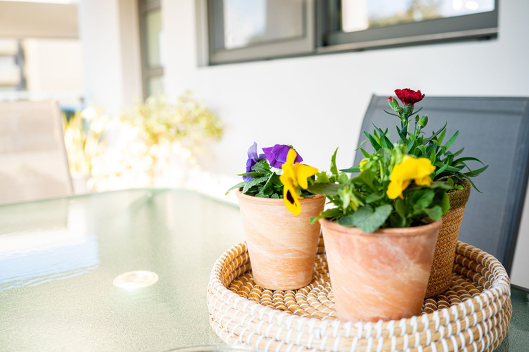 Food & Drinks, Lilium Apartment, South Aegean