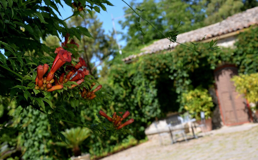 Room 3, Villa de Leva - Casa Della Nonna, Ragusa