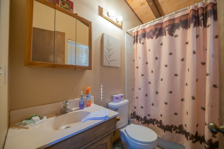 Bathroom 4, Lunar Lodge, San Bernardino