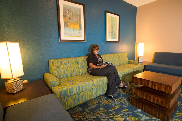 Public Area 2, Rosen Inn International, Orange