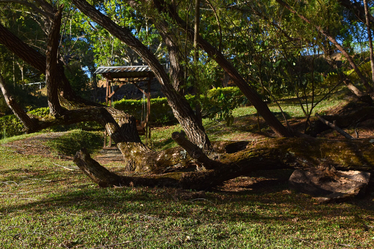 Others 4, Cabañas La Laguna Lodge, Cartago