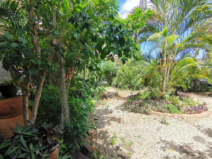 Others 5, Baan Porjai Guesthouse, Ko Lanta