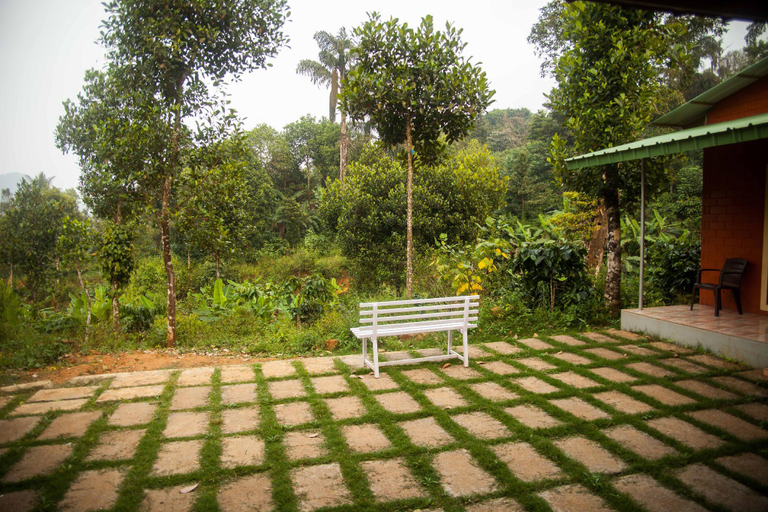 Others 3, Yedamakky Plantations, Kodagu