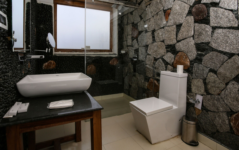 Bathroom 3, The Dunes Boutique Hotel, Leh