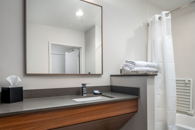 Bathroom 4, Fairfield Inn & Suites by Marriott Albertville, Marshall